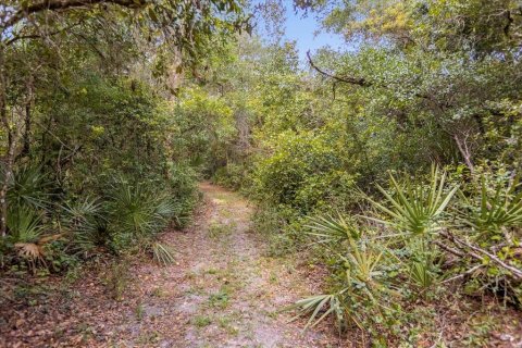 House in DeLand, Florida 4 bedrooms, 279.17 sq.m. № 1318272 - photo 5