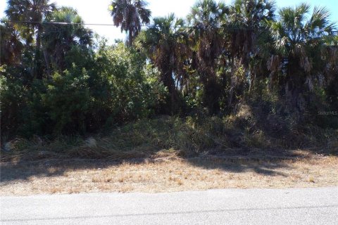Land in North Port, Florida № 2161059 - photo 5