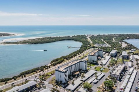 Condo in Dunedin, Florida, 2 bedrooms  № 1644445 - photo 29