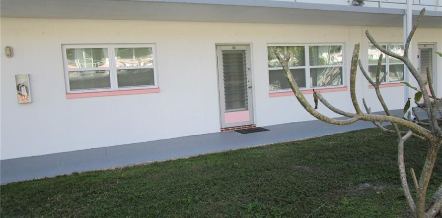 Condo in Saint Petersburg, Florida, 2 bedrooms  № 1529411
