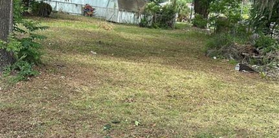 Land in Bartow, Florida № 2214743