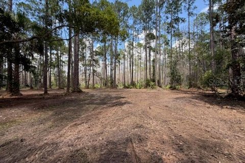 Land in DeLand, Florida № 2225235 - photo 3