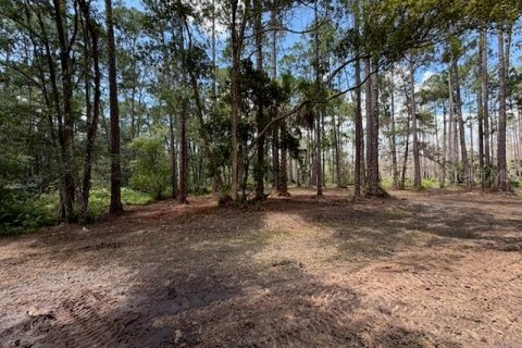Land in DeLand, Florida № 2225235 - photo 4