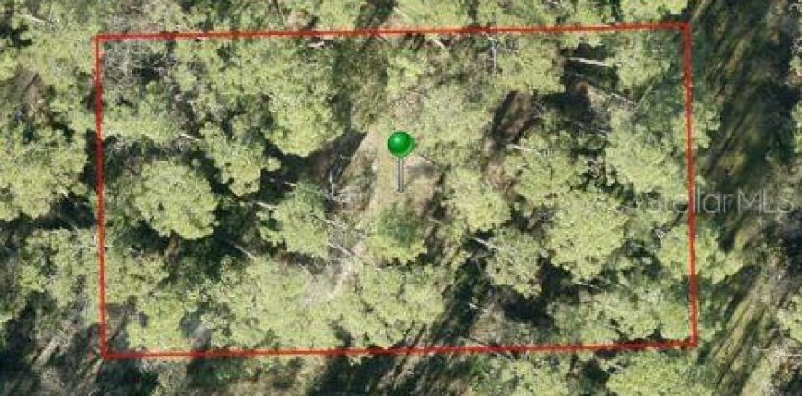 Land in DeLand, Florida № 2225235