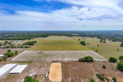 Terreno en venta en Eustis, Florida № 1913451 - foto 2