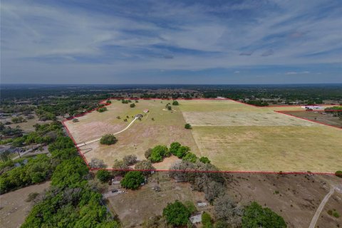 Terreno en venta en Eustis, Florida № 1913451 - foto 3
