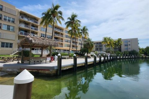 Condominio en alquiler en Tavernier, Florida, 2 dormitorios, 73.76 m2 № 1992164 - foto 24
