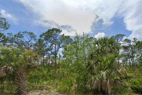 Terreno en Port Charlotte, Florida № 2228660