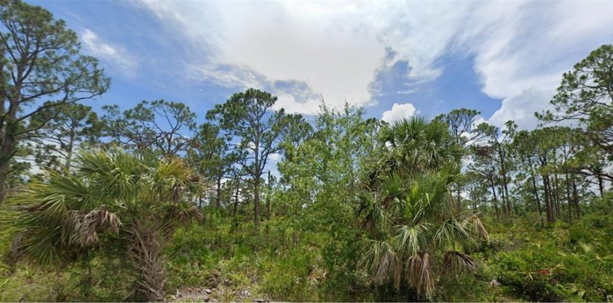 Land in Port Charlotte, Florida № 2228660