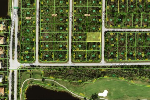 Land in Port Charlotte, Florida № 2228660 - photo 2