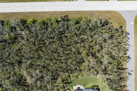 Terreno en venta en Port Charlotte, Florida № 1112860 - foto 7