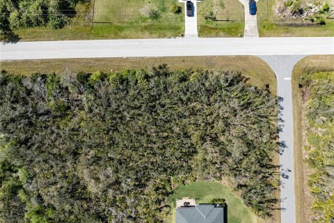 Terreno en venta en Port Charlotte, Florida № 1112860 - foto 6