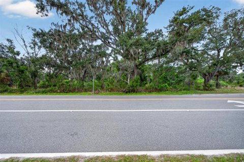 Terrain à vendre à Wimauma, Floride № 2195085 - photo 6
