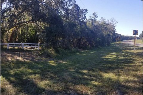 Terrain à vendre à Wimauma, Floride № 2195085 - photo 4