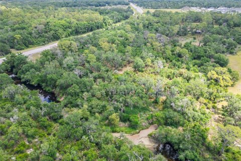 Terrain à vendre à Wimauma, Floride № 2195085 - photo 30