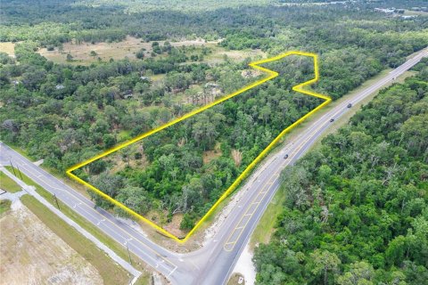 Land in Wimauma, Florida № 2195085