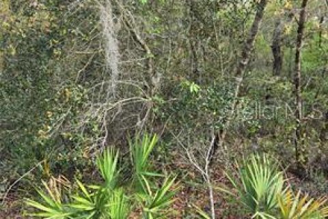 Land in Oxford, Florida № 2290649