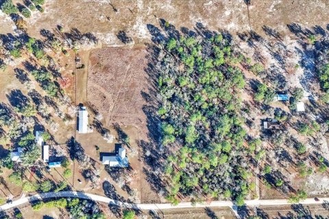 Купить виллу или дом в Даннеллон, Флорида 6 комнат, 207.82м2, № 2148905 - фото 2