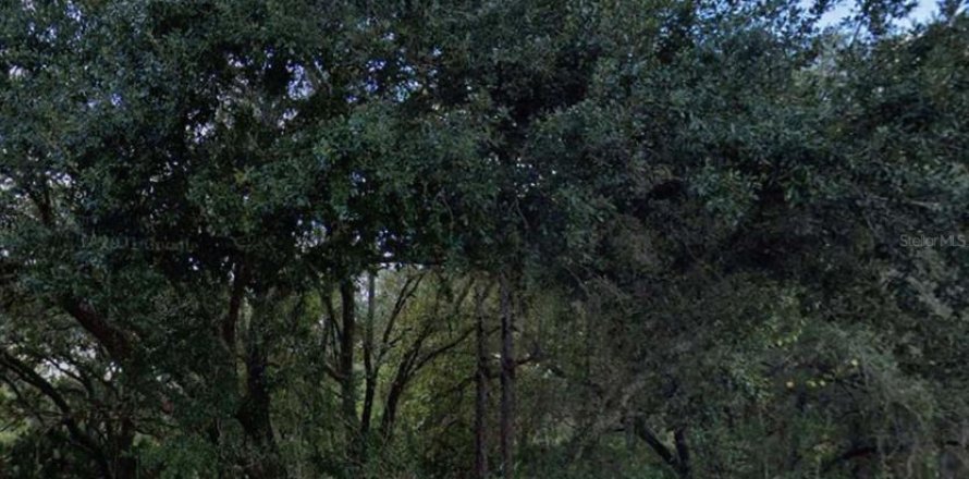 Land in Indian lake estates, Florida № 2159548