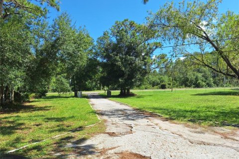 Villa ou maison à louer à Odessa, Floride: 3 chambres, 173.17 m2 № 2295035 - photo 5