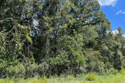 Terreno en venta en Chiefland, Florida № 690968 - foto 4