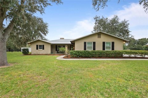 Villa ou maison à Dade City, Floride 3 chambres, 195.84 m2 № 2400956