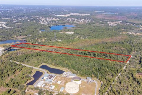 Land in Osteen, Florida № 1637950 - photo 23