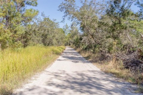 Terreno en venta en Osteen, Florida № 1637950 - foto 5
