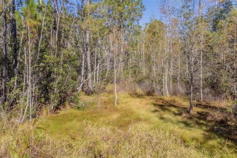 Terrain à vendre à Osteen, Floride № 1637950 - photo 20