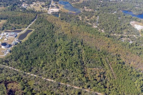 Land in Osteen, Florida № 1637950 - photo 8