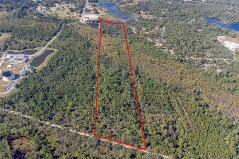 Terreno en venta en Osteen, Florida № 1637950 - foto 2