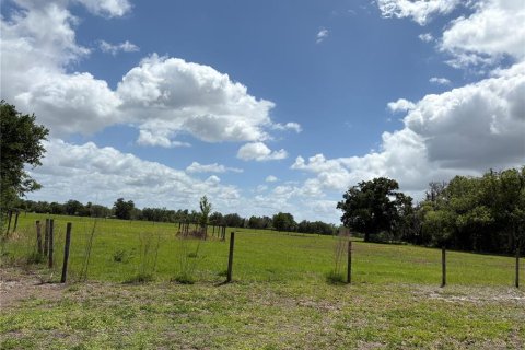 Terrain à vendre à Arcadia, Floride № 2402799 - photo 2