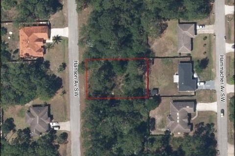 Land in Palm Bay, Florida № 42814 - photo 1