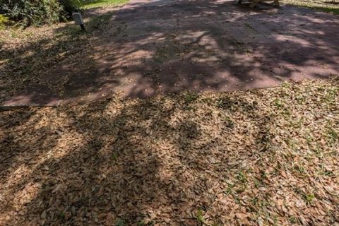 Land in Salt Springs, Florida № 2106096 - photo 3