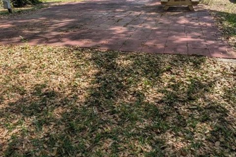 Land in Salt Springs, Florida № 2106096 - photo 4