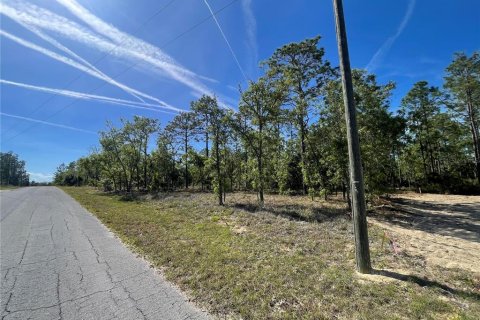 Land in Williston, Florida № 2163846 - photo 3