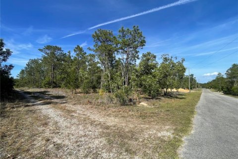 Land in Williston, Florida № 2163846 - photo 4