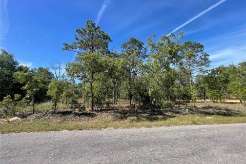 Land in Williston, Florida № 2163846 - photo 5