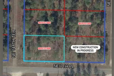 Land in Williston, Florida № 2163846 - photo 2