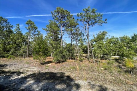 Land in Williston, Florida № 2163846 - photo 6