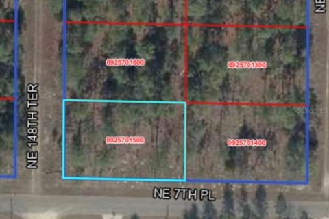 Land in Williston, Florida № 2163846