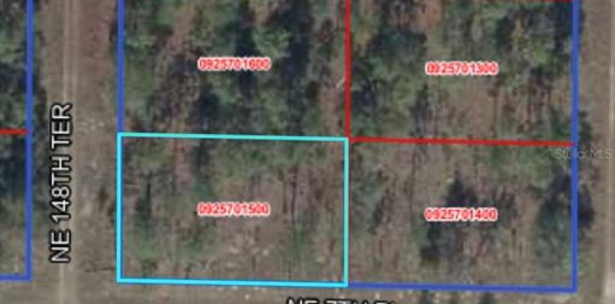 Land in Williston, Florida № 2163846