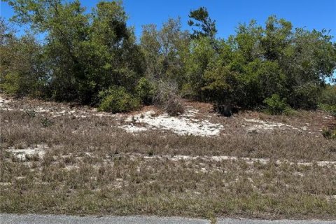 Terreno en venta en Kissimmee, Florida № 1591045 - foto 1