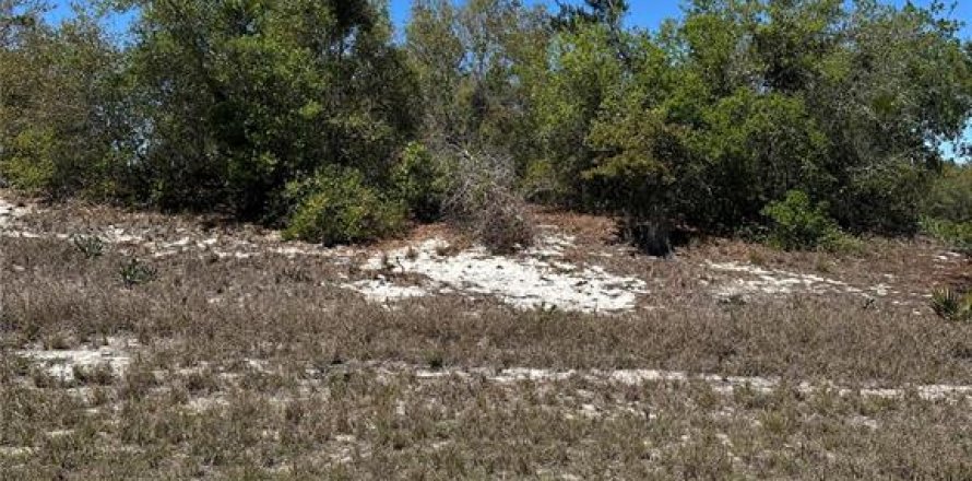 Terreno en Kissimmee, Florida № 1591045