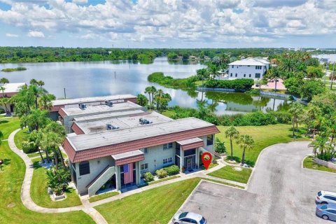 Condo in Safety Harbor, Florida, 1 bedroom № 2156724 - photo 4