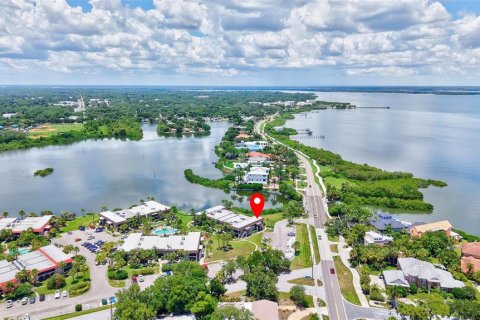 Condo in Safety Harbor, Florida, 1 bedroom № 2156724 - photo 3
