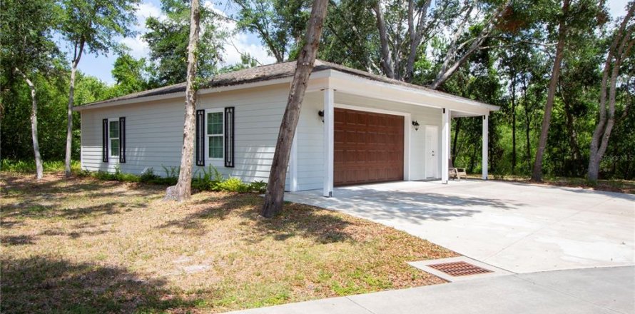 Studio in Lutz, Florida № 1777392