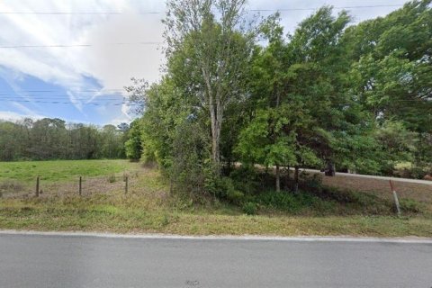 Land in Polk City, Florida № 2235307 - photo 2