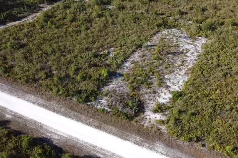 Land in Indian lake estates, Florida № 2165925 - photo 2