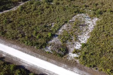 Land in Indian lake estates, Florida № 2165925